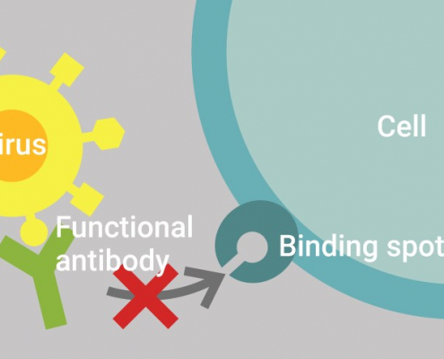 c-pass mechanism